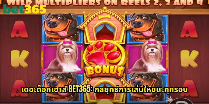 เดอะด็อกเฮาส์ bet365: กลยุทธ์การเล่นให้ชนะทุกรอบ