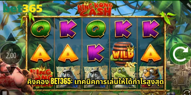 คิงคอง bet365: ลิงยักษ์แห่งเกมสล็อตที่มาพร้อมรางวัลโบนัสมหาศาล 3 คิงคอง bet365: เทคนิคการเล่นให้ได้กำไรสูงสุด